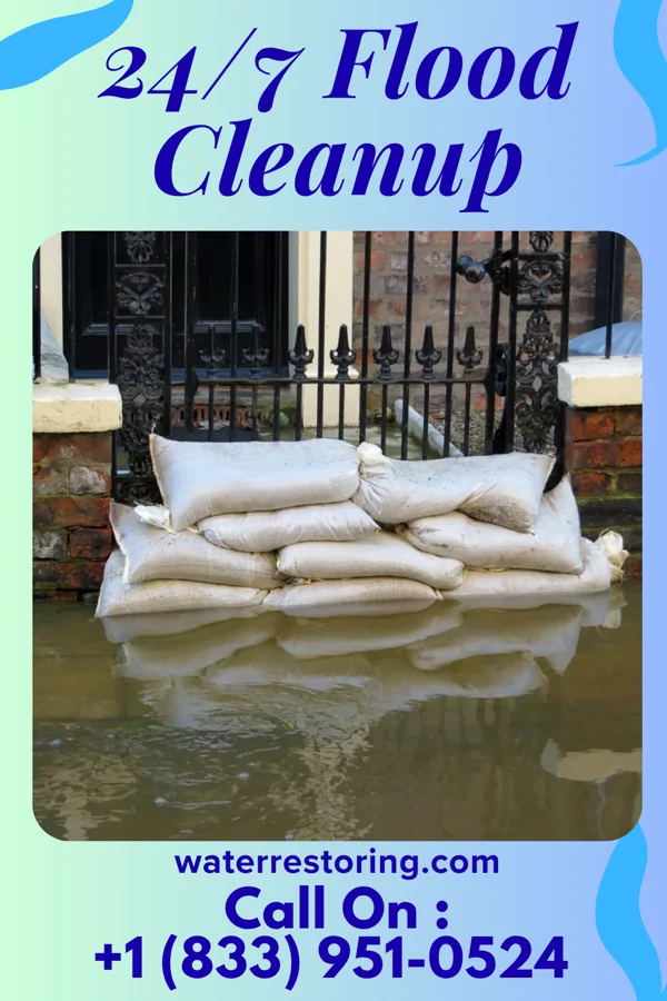 24/7 Flood Cleanup in Pine Valley, NJ