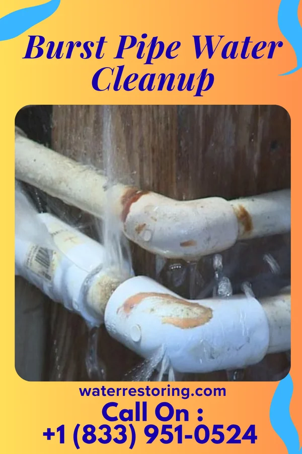 Burst Pipe Water Cleanup in Pine Valley, NJ