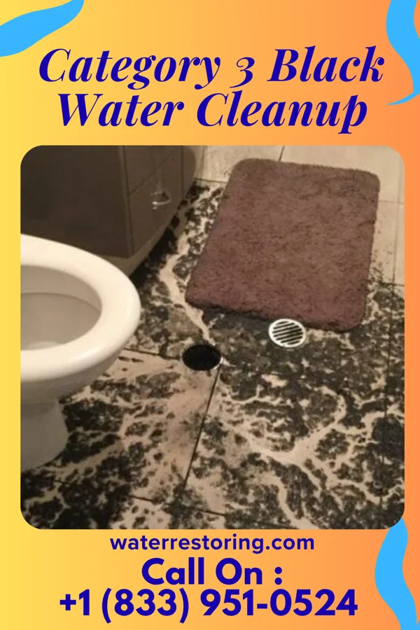 Category 3 Black Water Cleanup in Pine Valley, NJ