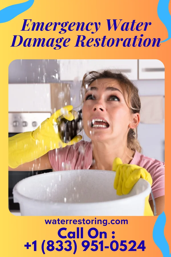 Emergency Water Damage Restoration in Pine Valley, NJ