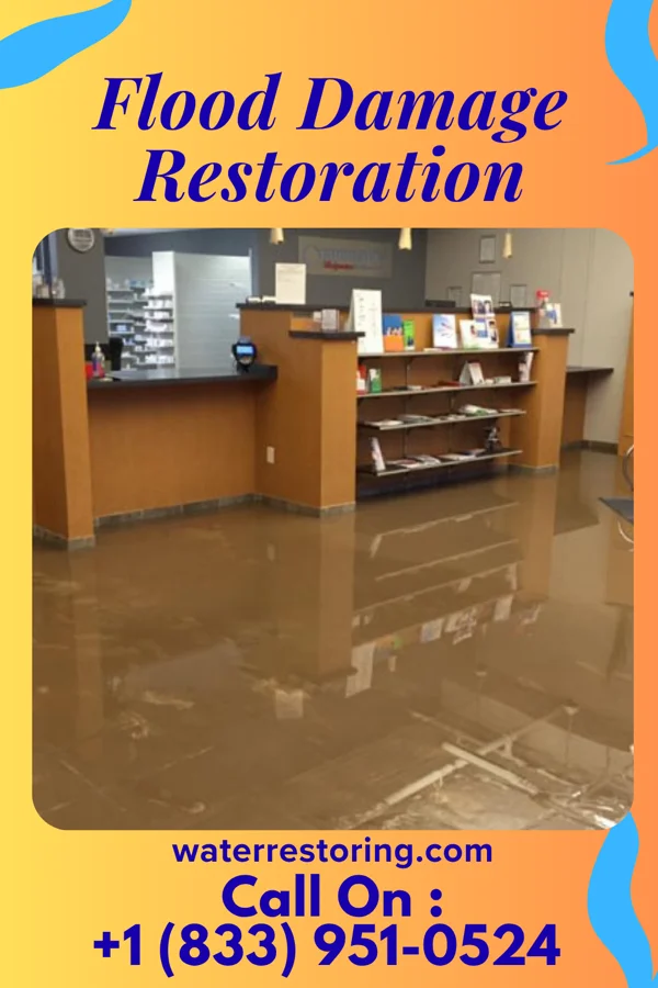 Flood Damage Restoration in Pine Valley, NJ