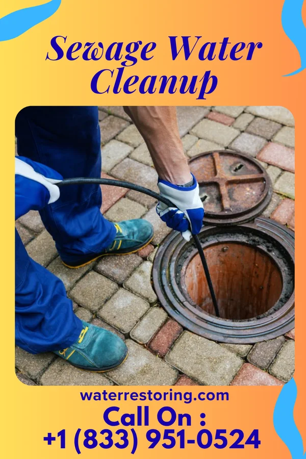 Sewage Water Cleanup in Pine Valley, NJ